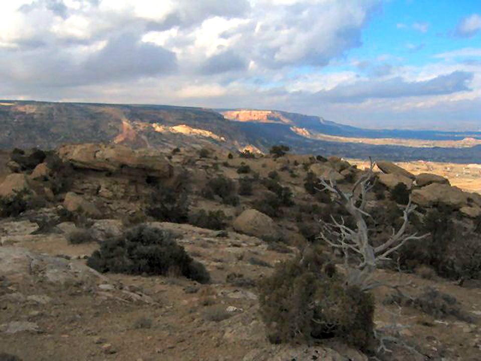 Ruddy Mesas None