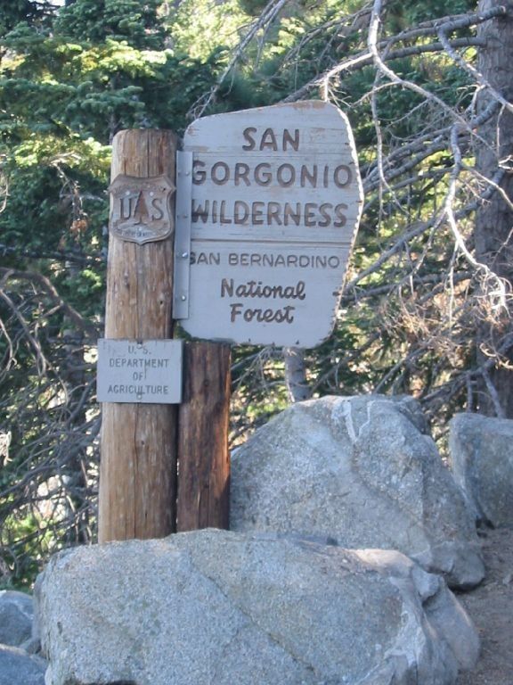 San Gorgonio Wilderness None