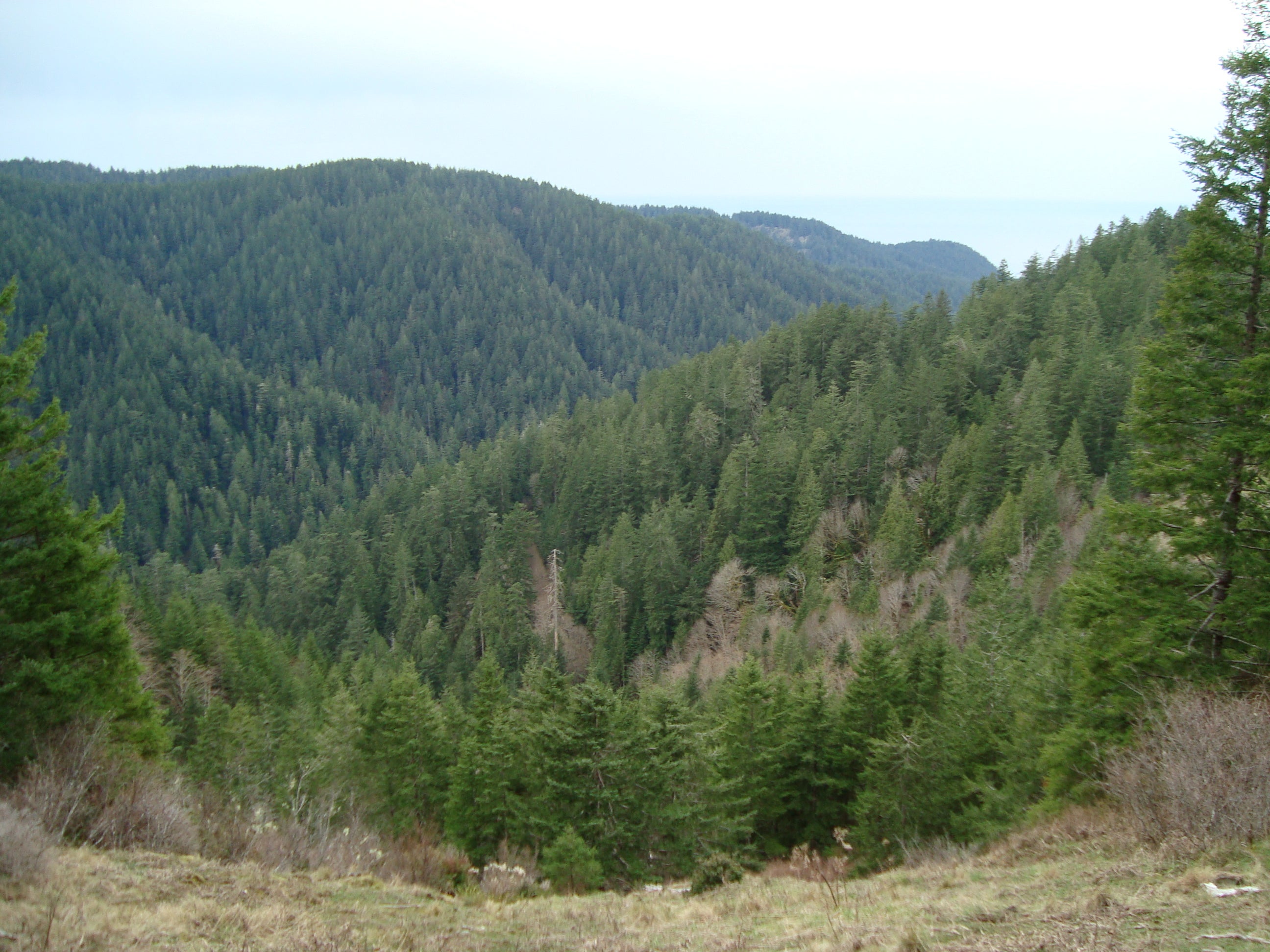 Scenic Viewpoint None