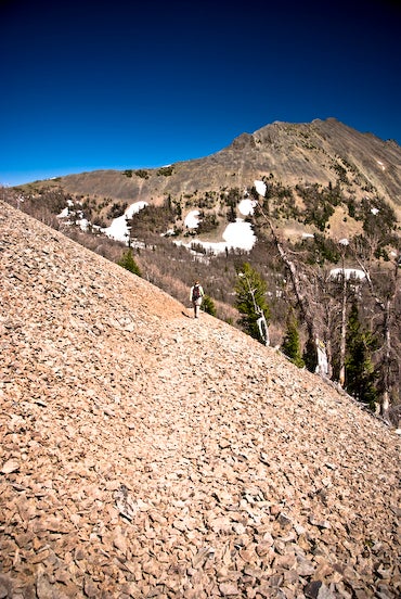 Scree Slopes None