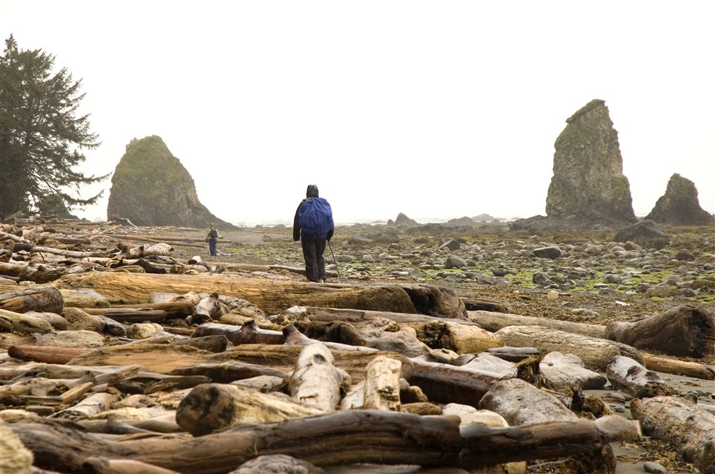 Sea Stacks None