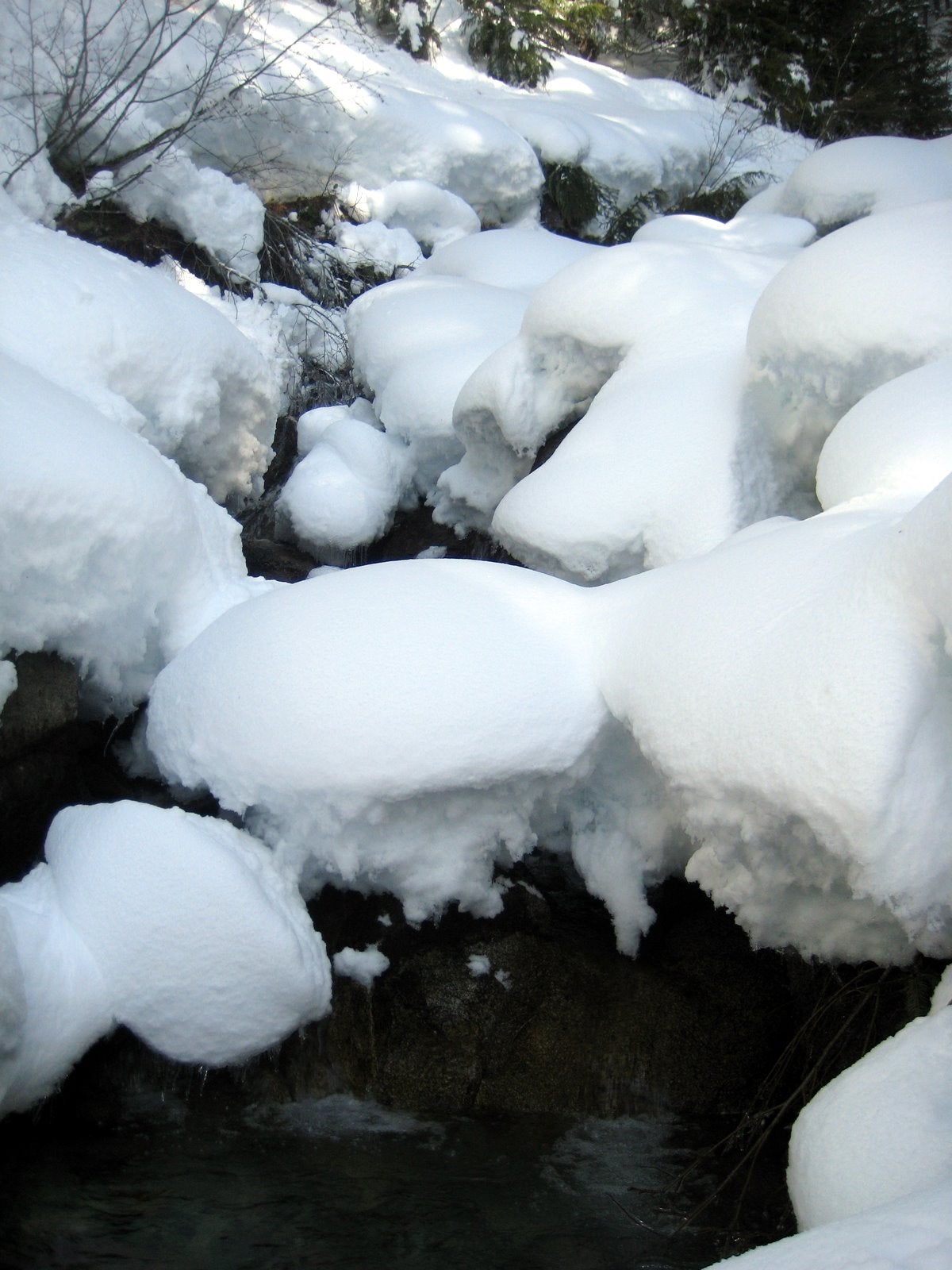 Small Cascade None