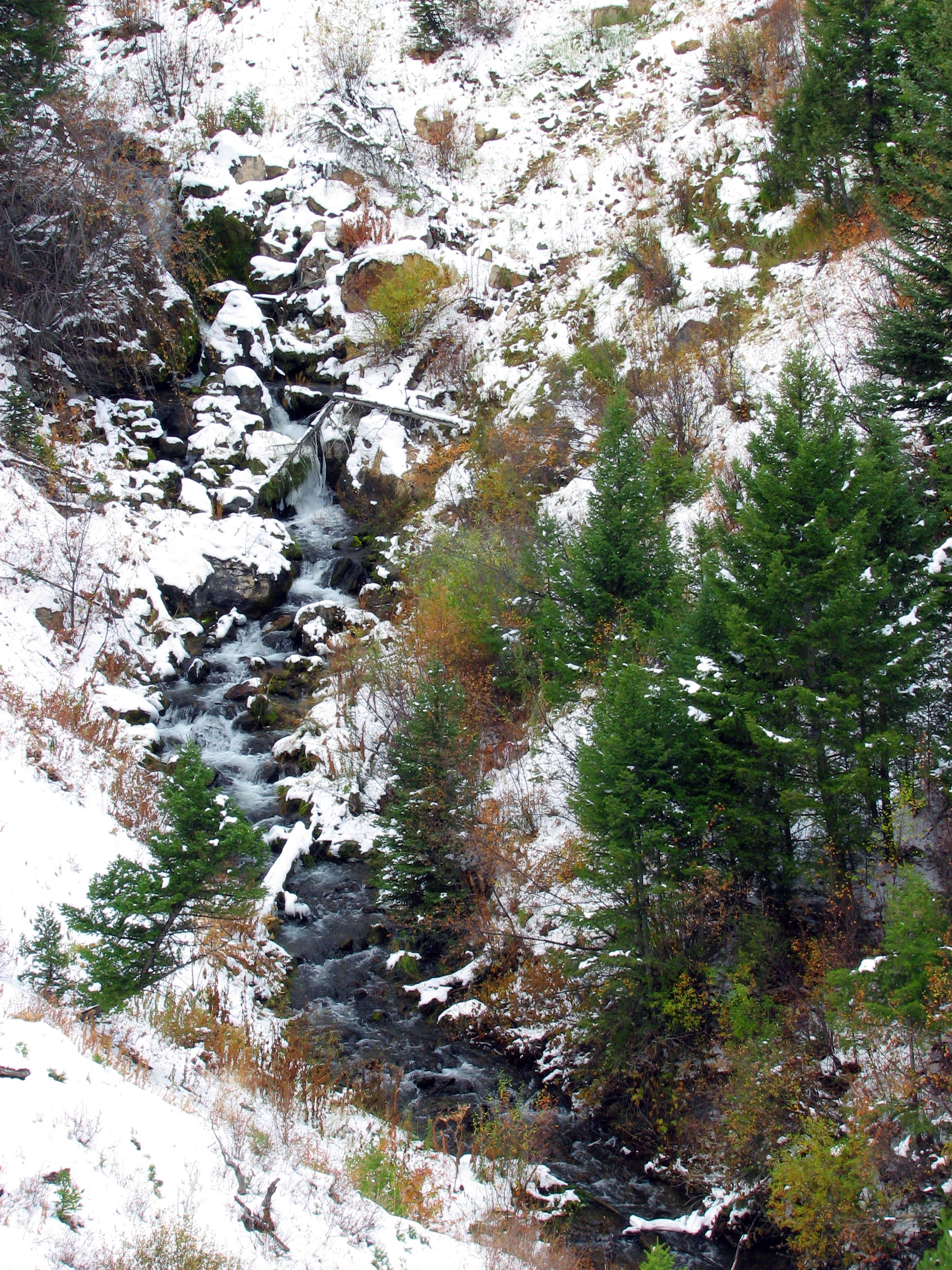 Small Cascades None
