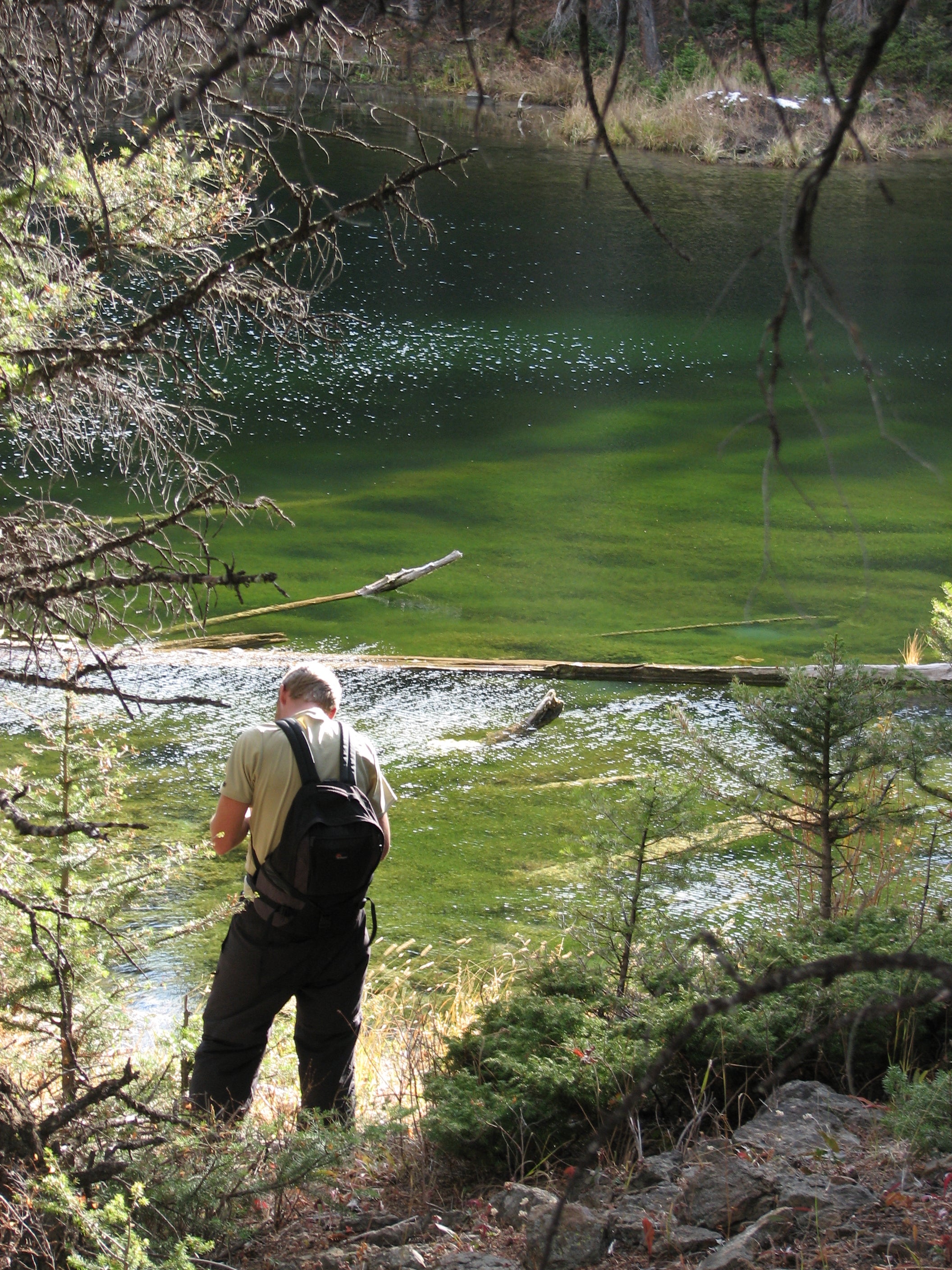 Small Pond None