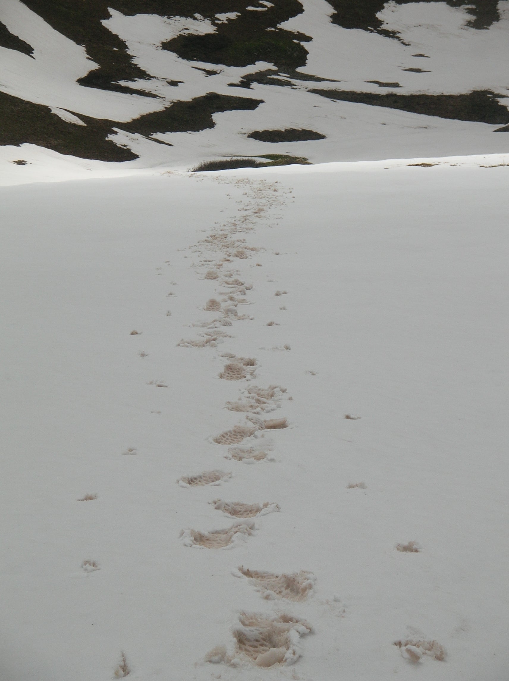 Snowfield None