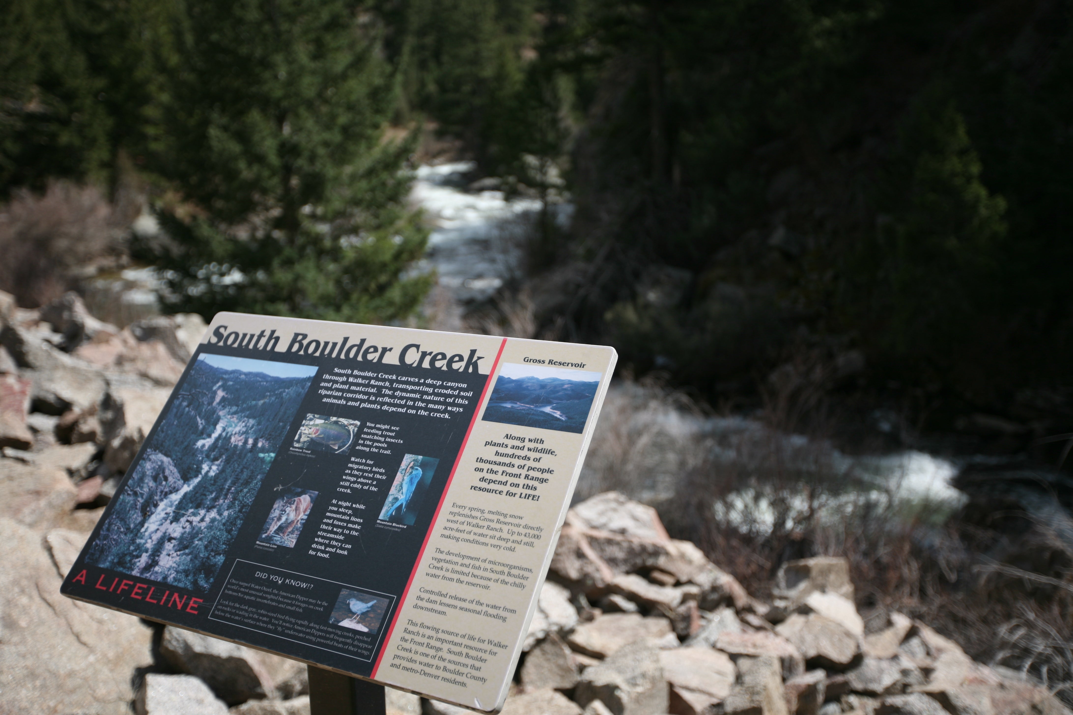 South Boulder Creek - Sign None