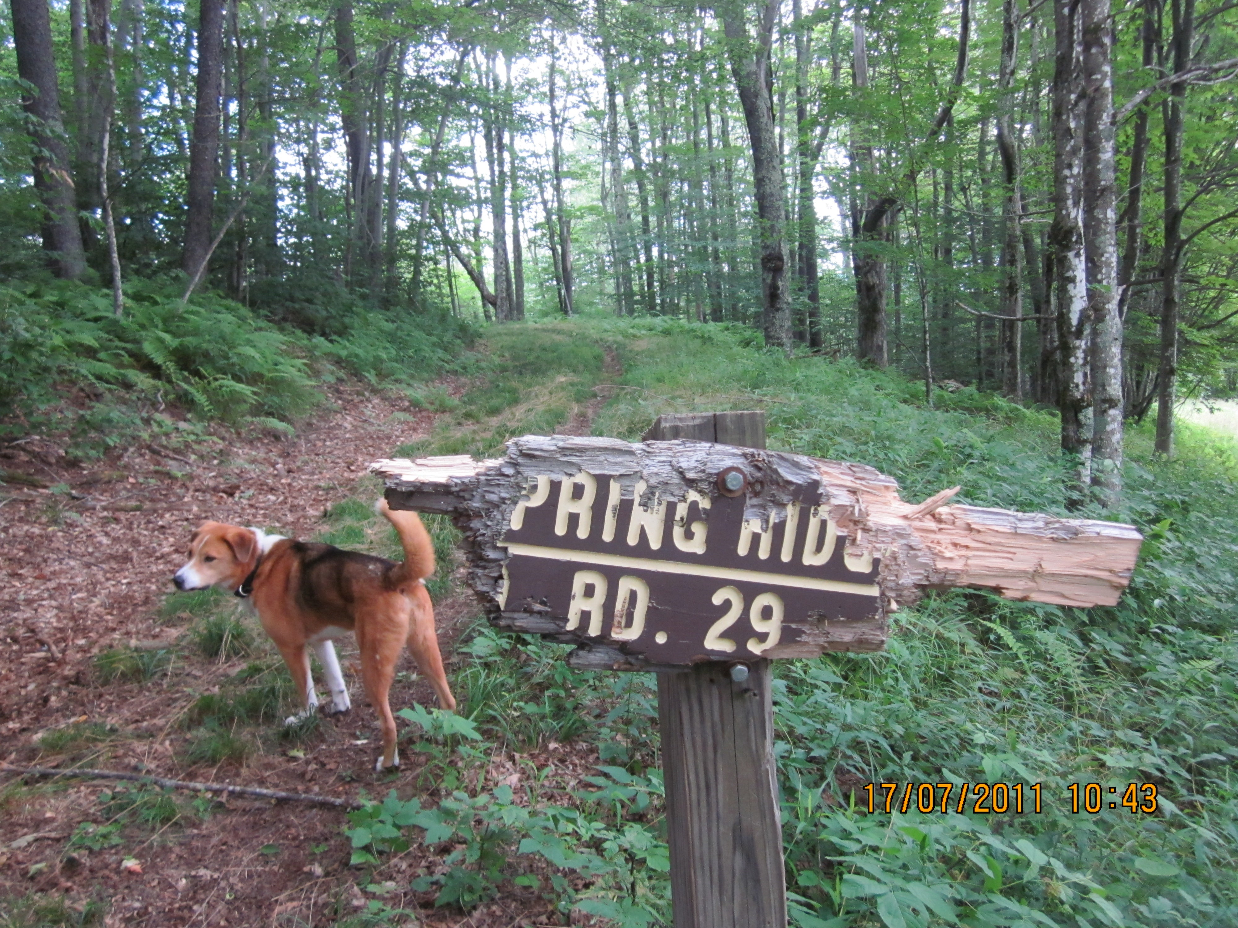 Spring Ridge and Allegheny Junction None