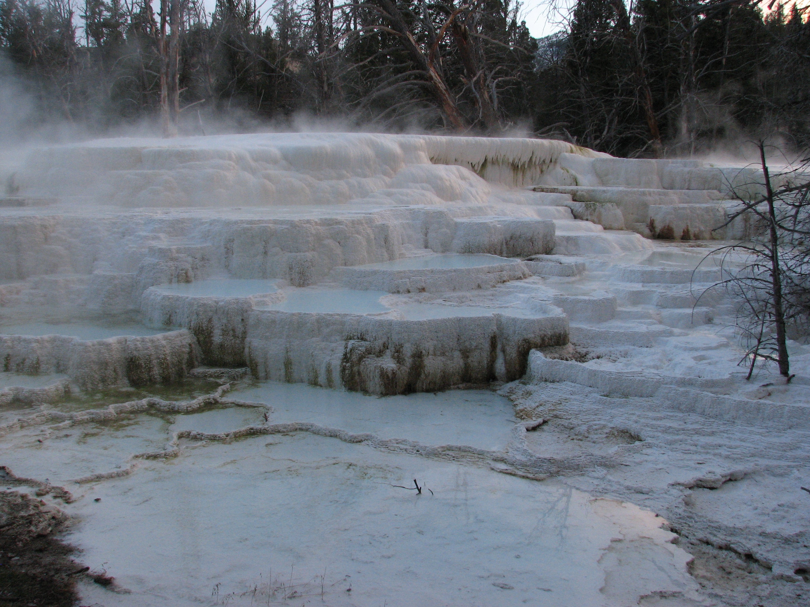 Steaming Falls at Narrow Gauge Terrace None