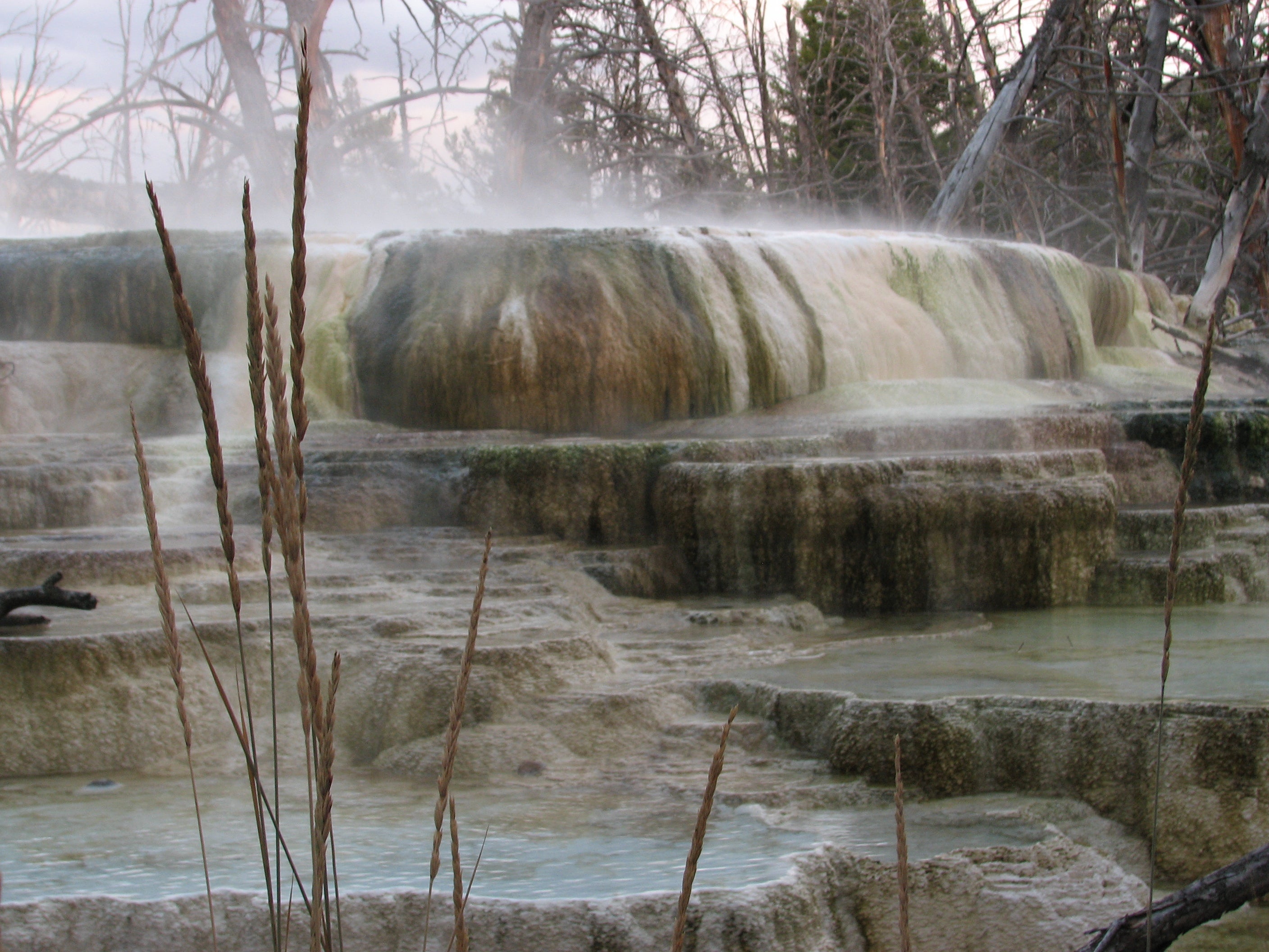 Steaming Pools at Narrow Gauge Terrace None