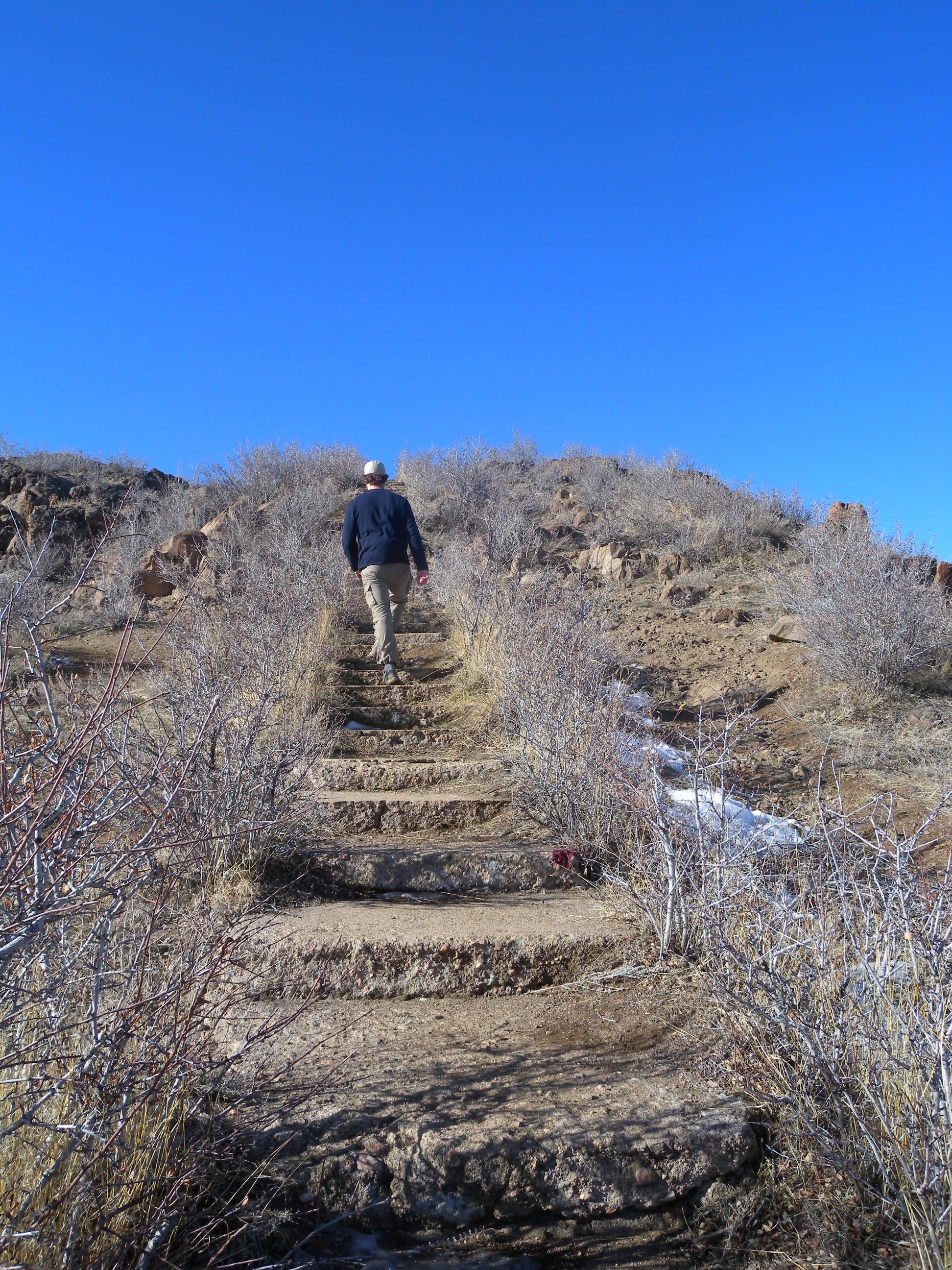 Steps None