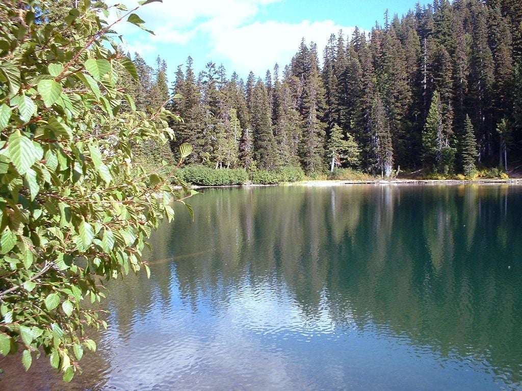 Surprise Lake None