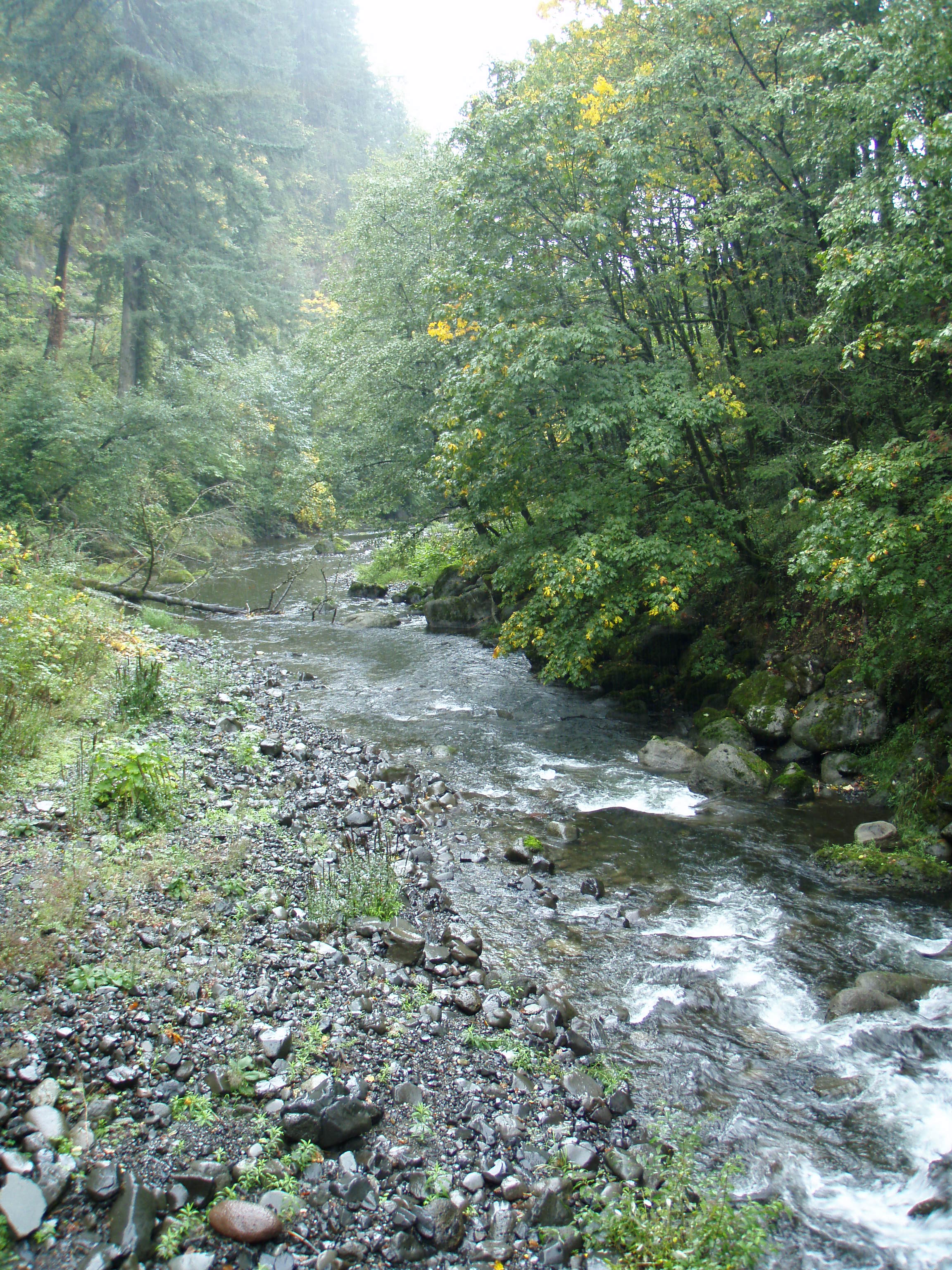 Tanner Creek None