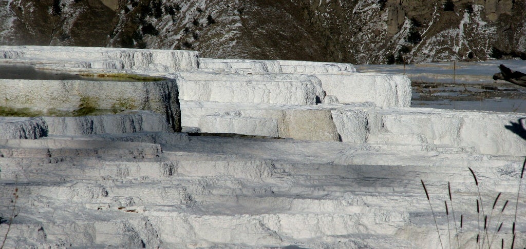 Terraces None
