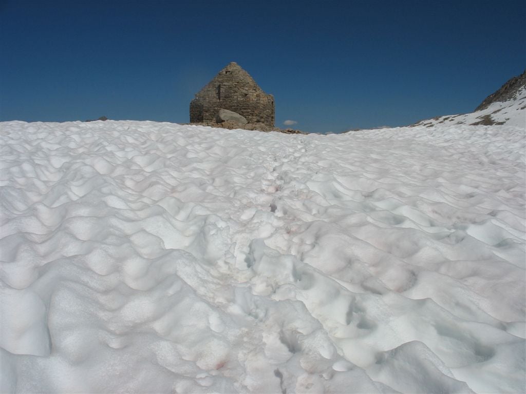 The Muir Hut None