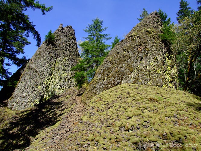 The Pinnacles None