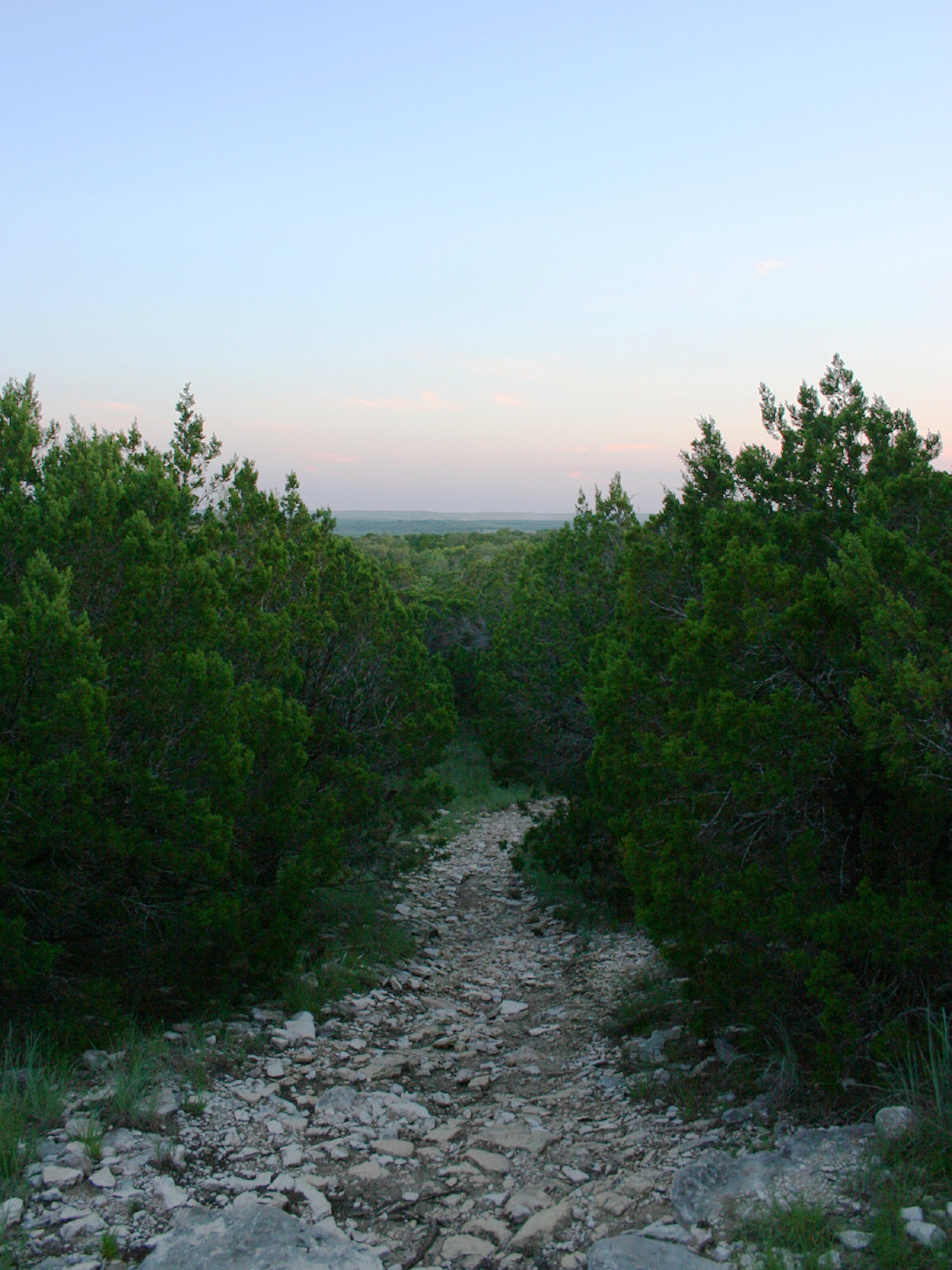 The Trail None