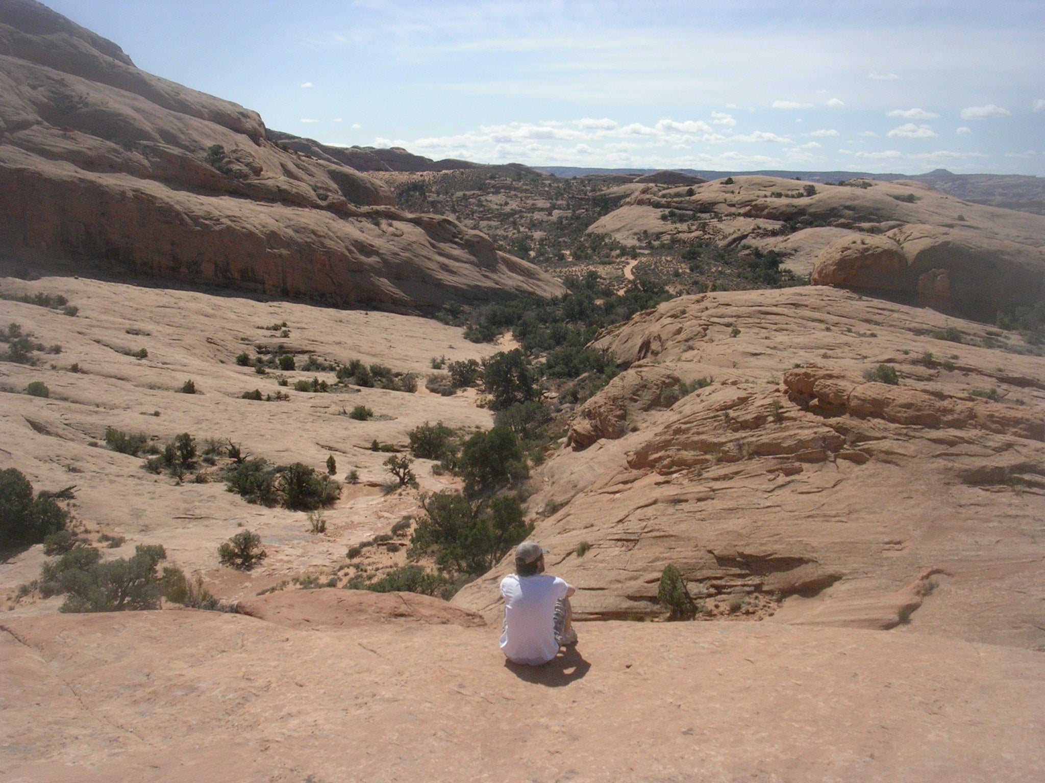 The Wild West None