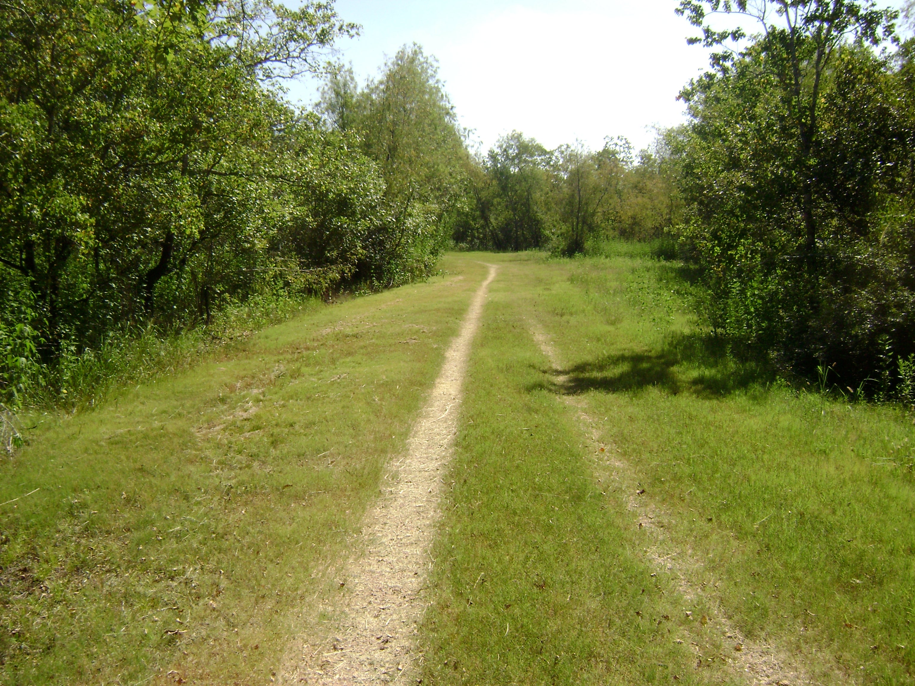 Trail None