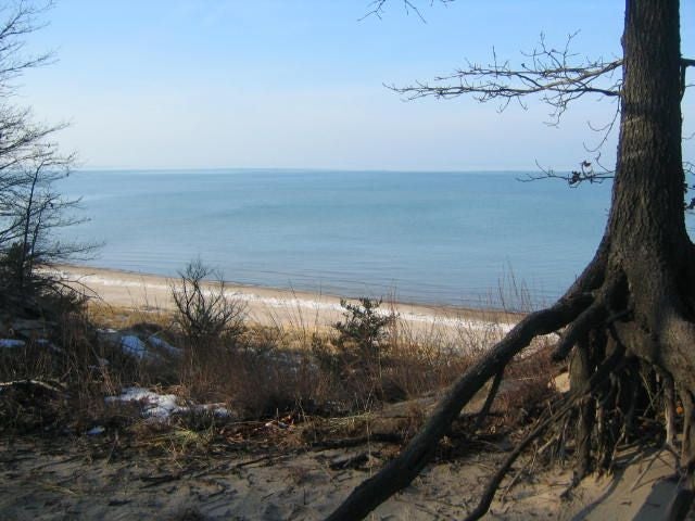 Trail above Lake Michigan None