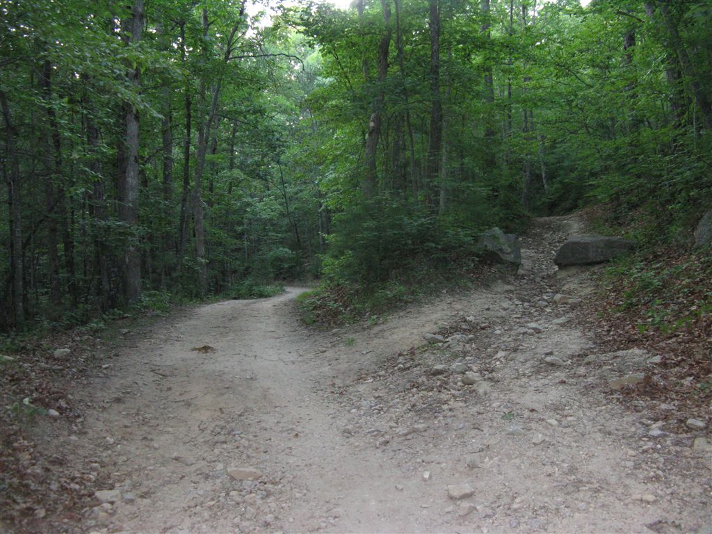 Trail Fork None