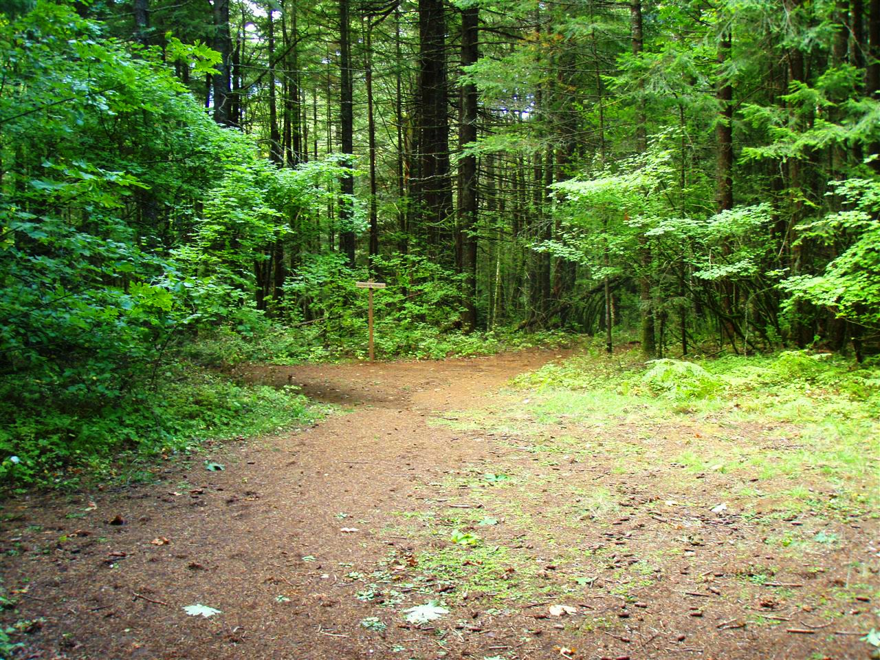 Trail Junction None