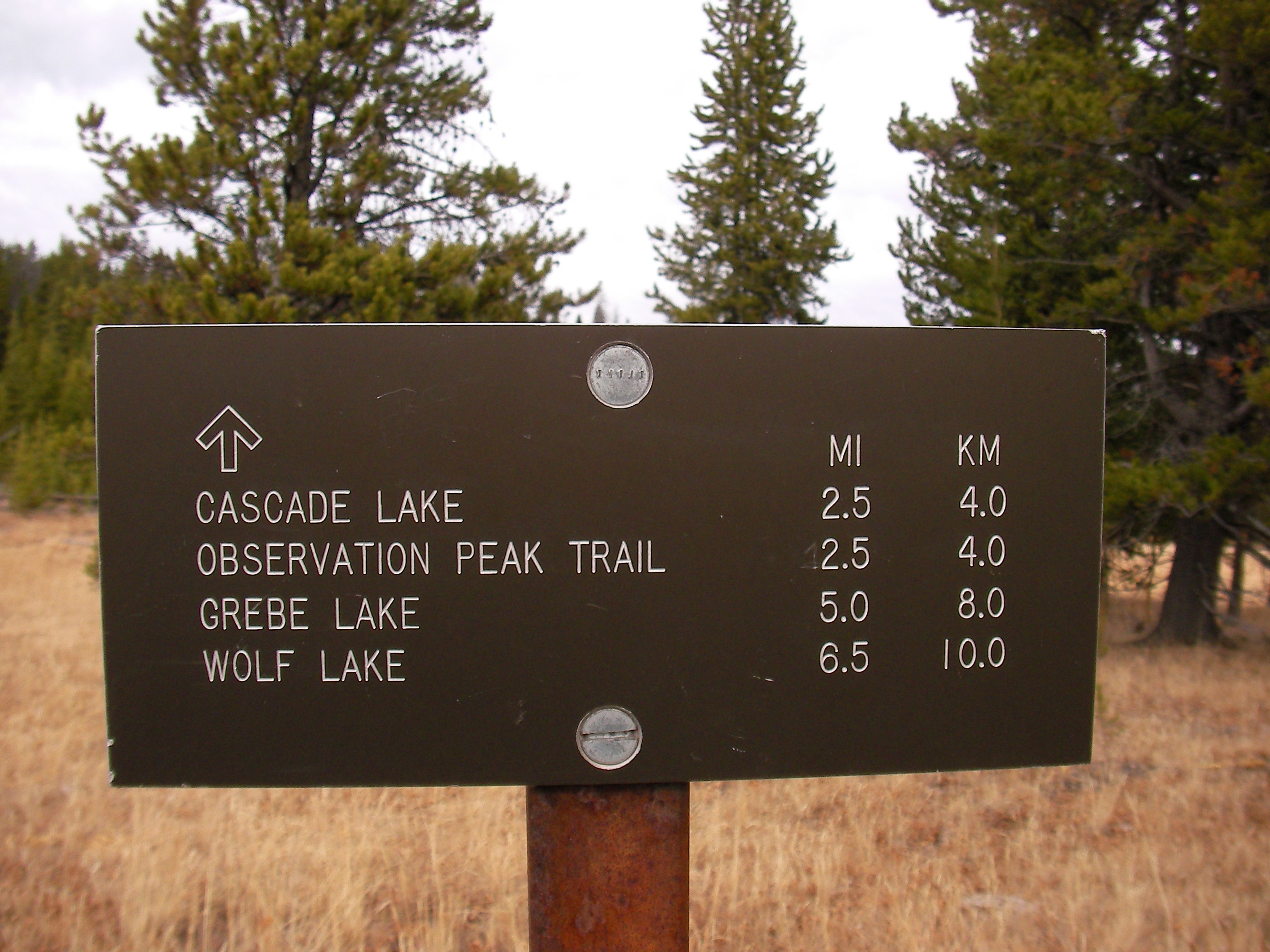 Trail Sign None