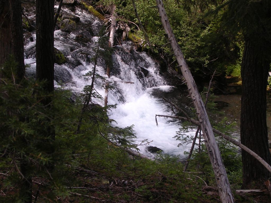 Trapper Creek None