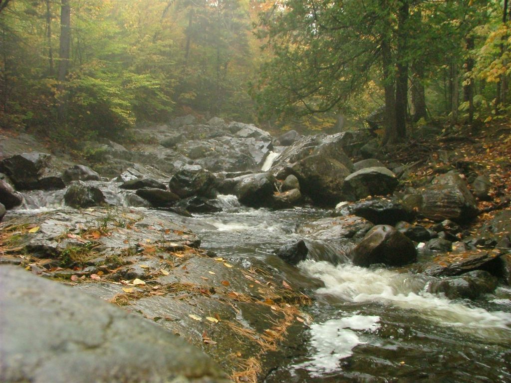 Vaughn Stream None