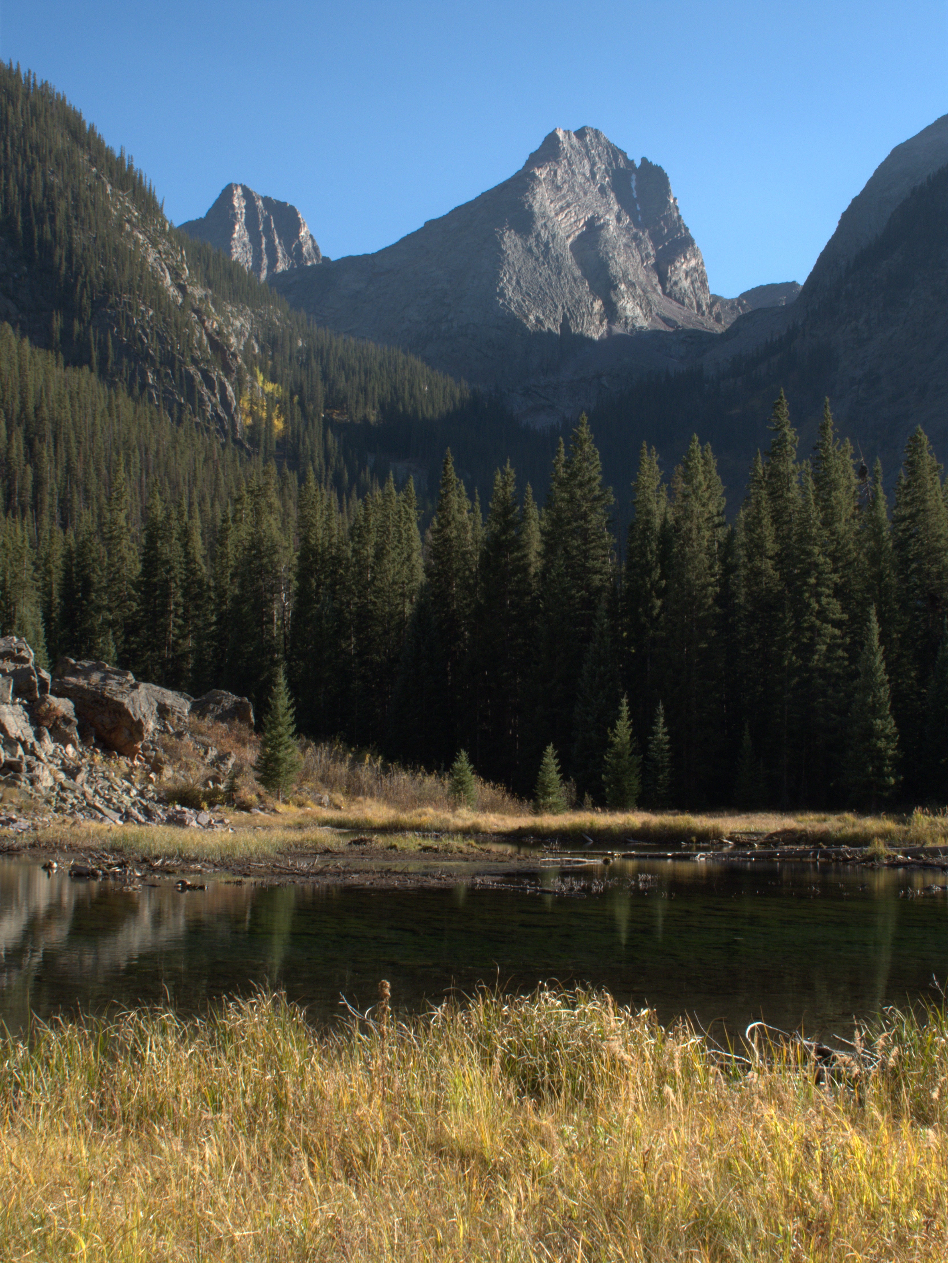 Vestal and Arrow Peak behind a beaver pond None