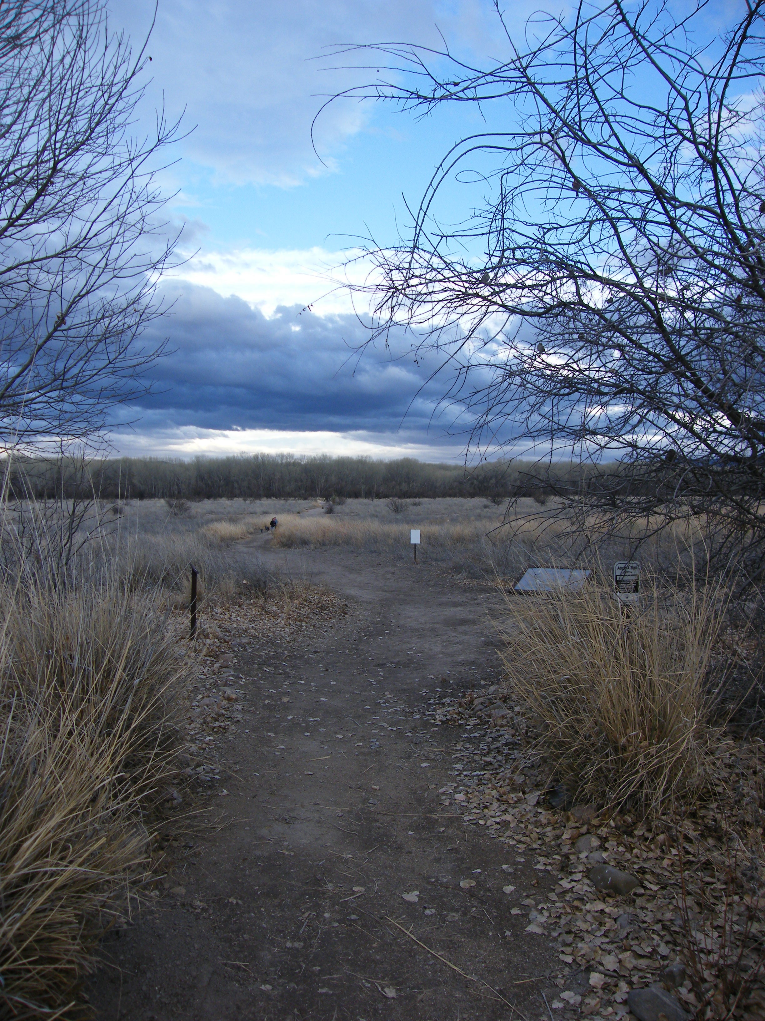 View from the Trailhead None