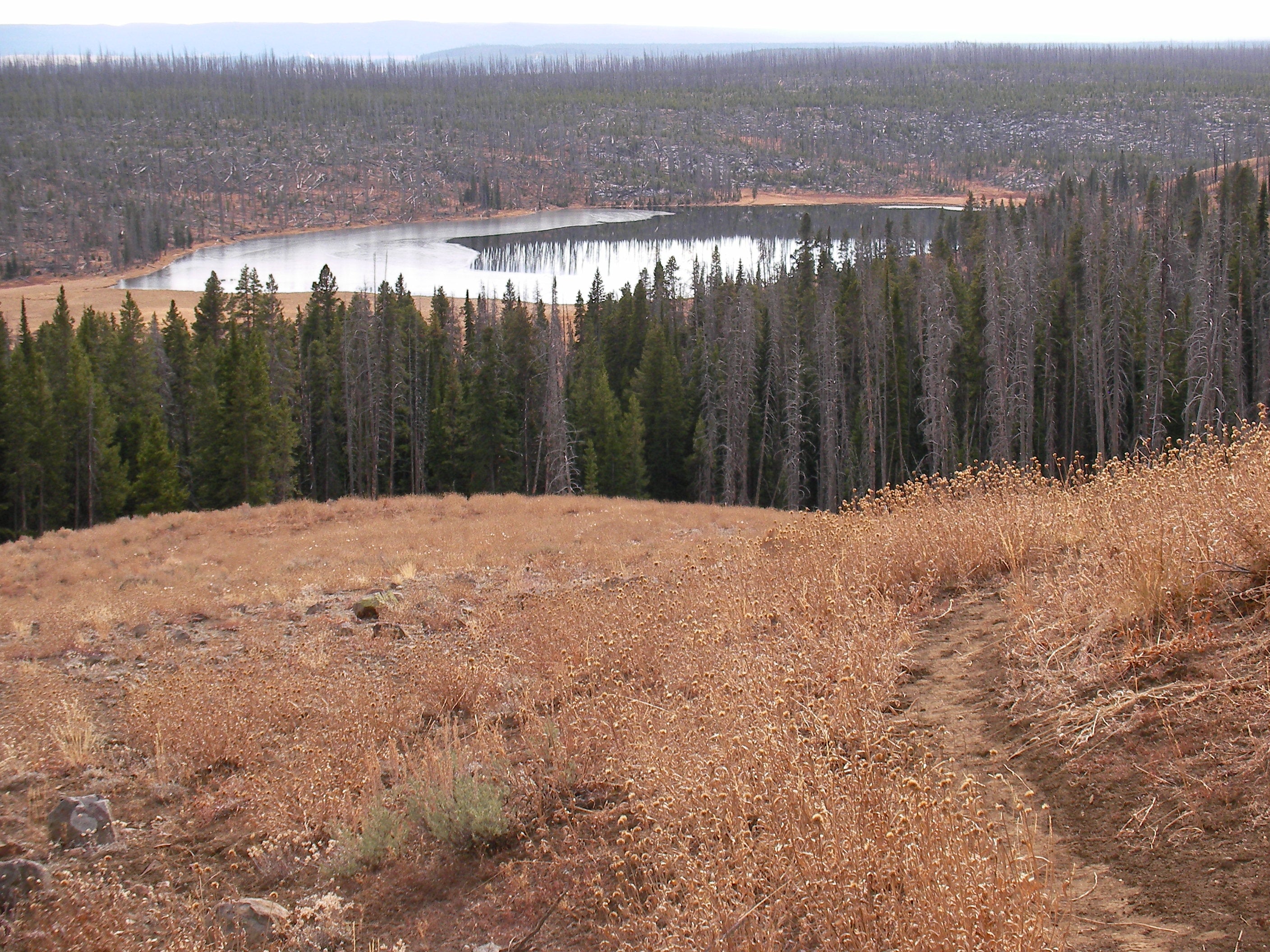 Views of Cascade Lake None