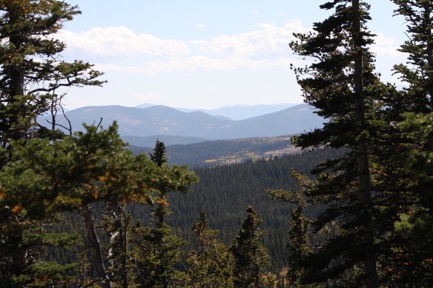 Views to the South None