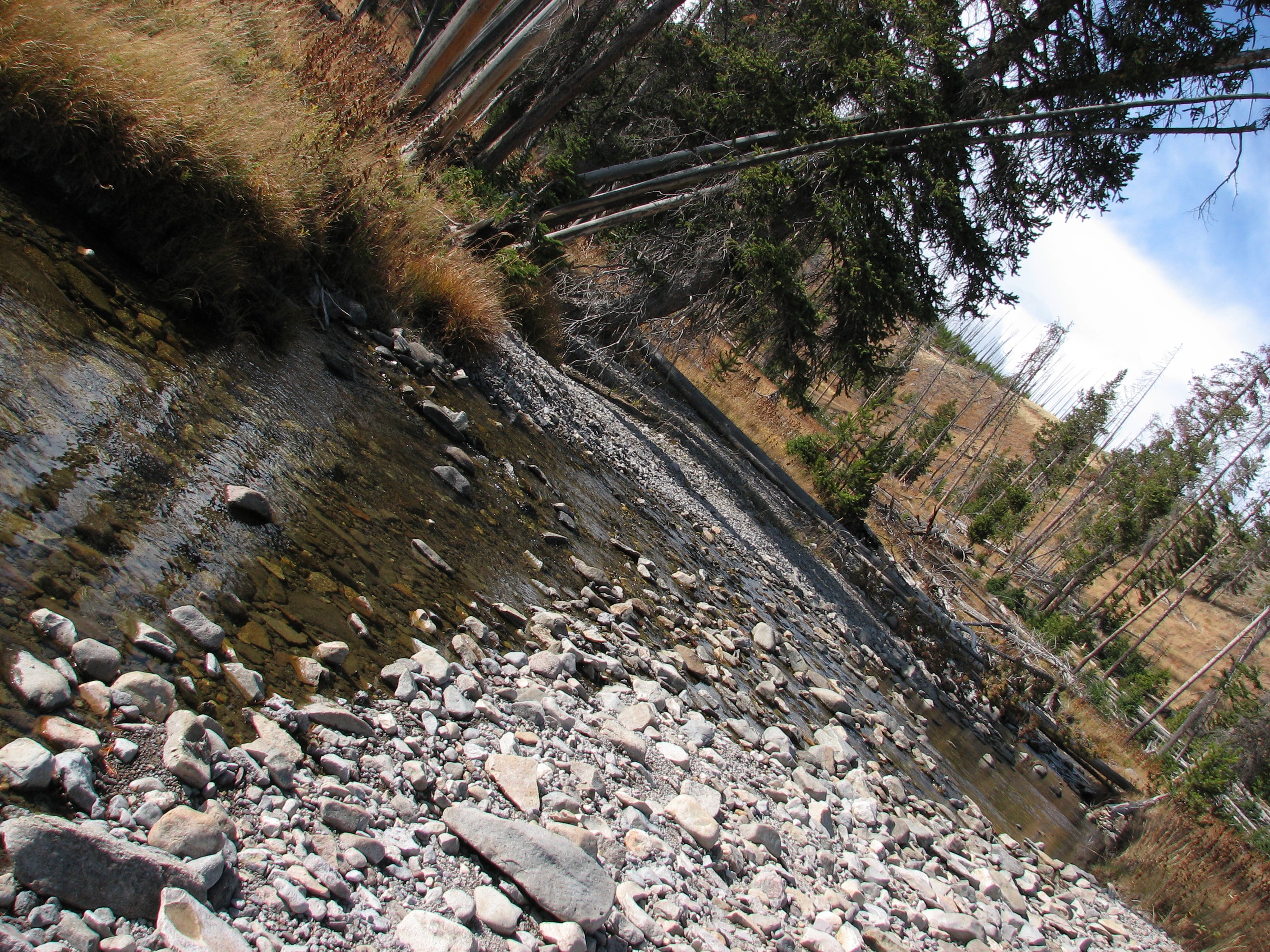 Winter Creek None