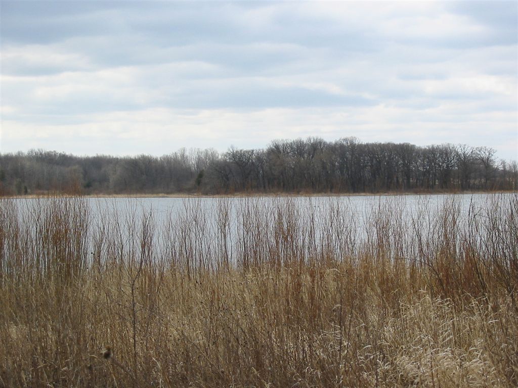 Wolf Lake None
