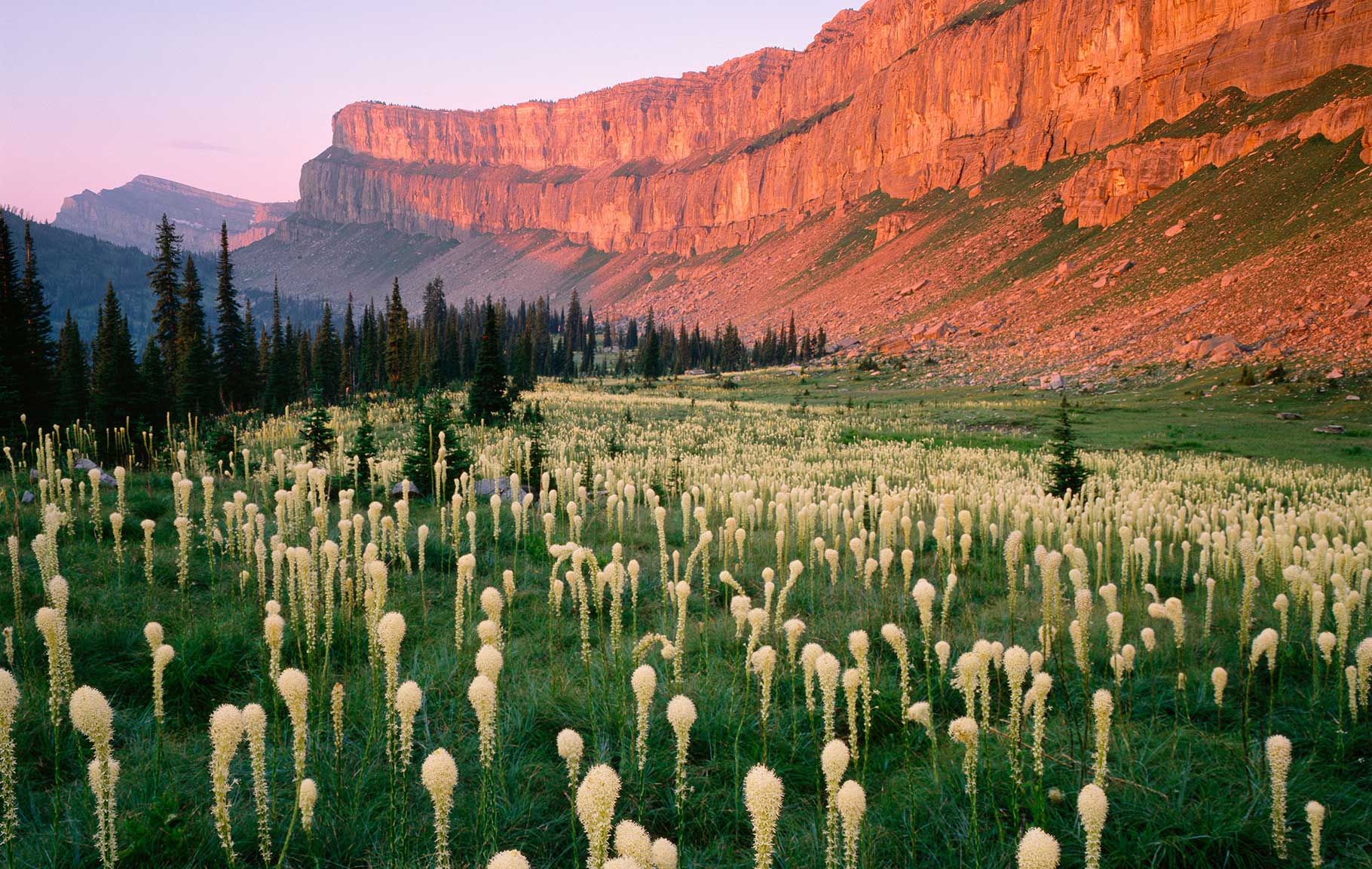 Chinese Wall Bob Marshall Wilderness, Montana Chinese Wall Bob Marshall Wilderness, Montana