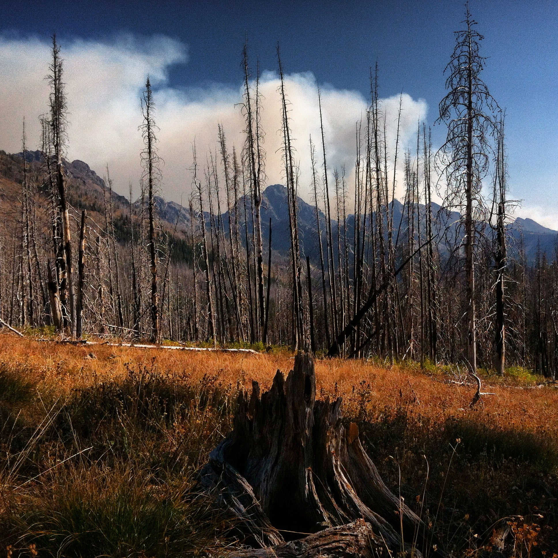 Seven Devils Mountains, Hells Canyon Wilderness, Idaho. Life as a Wilderness Ranger