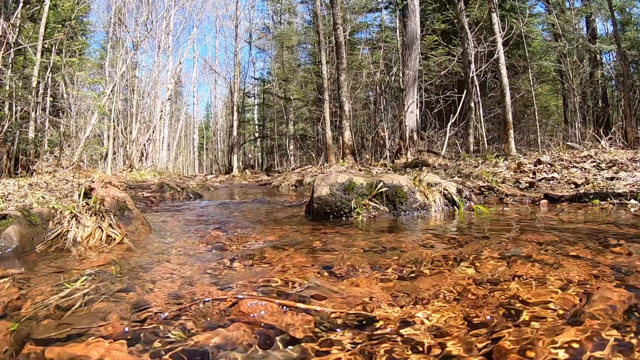 Eagle Point, MN Backpacker