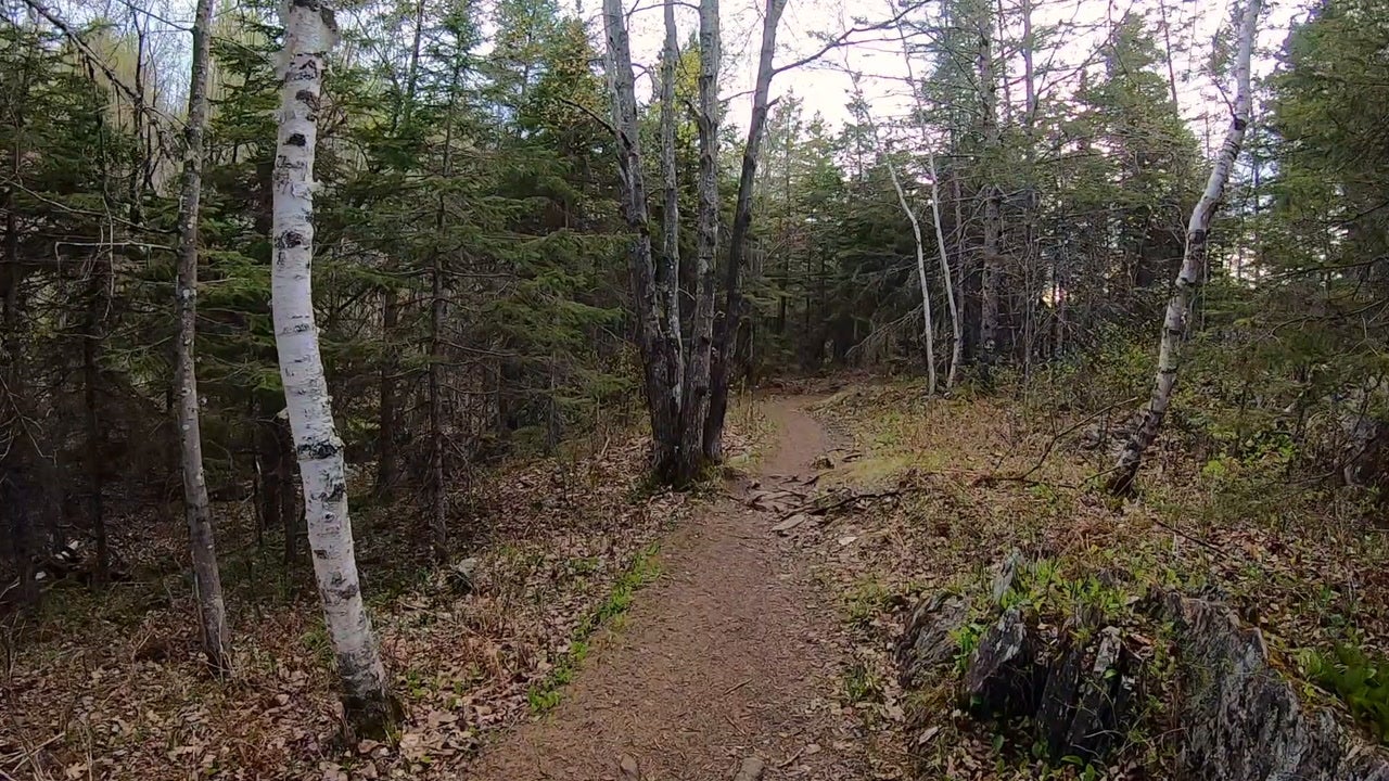 Superior Hiking Trail, MN | Backpacker