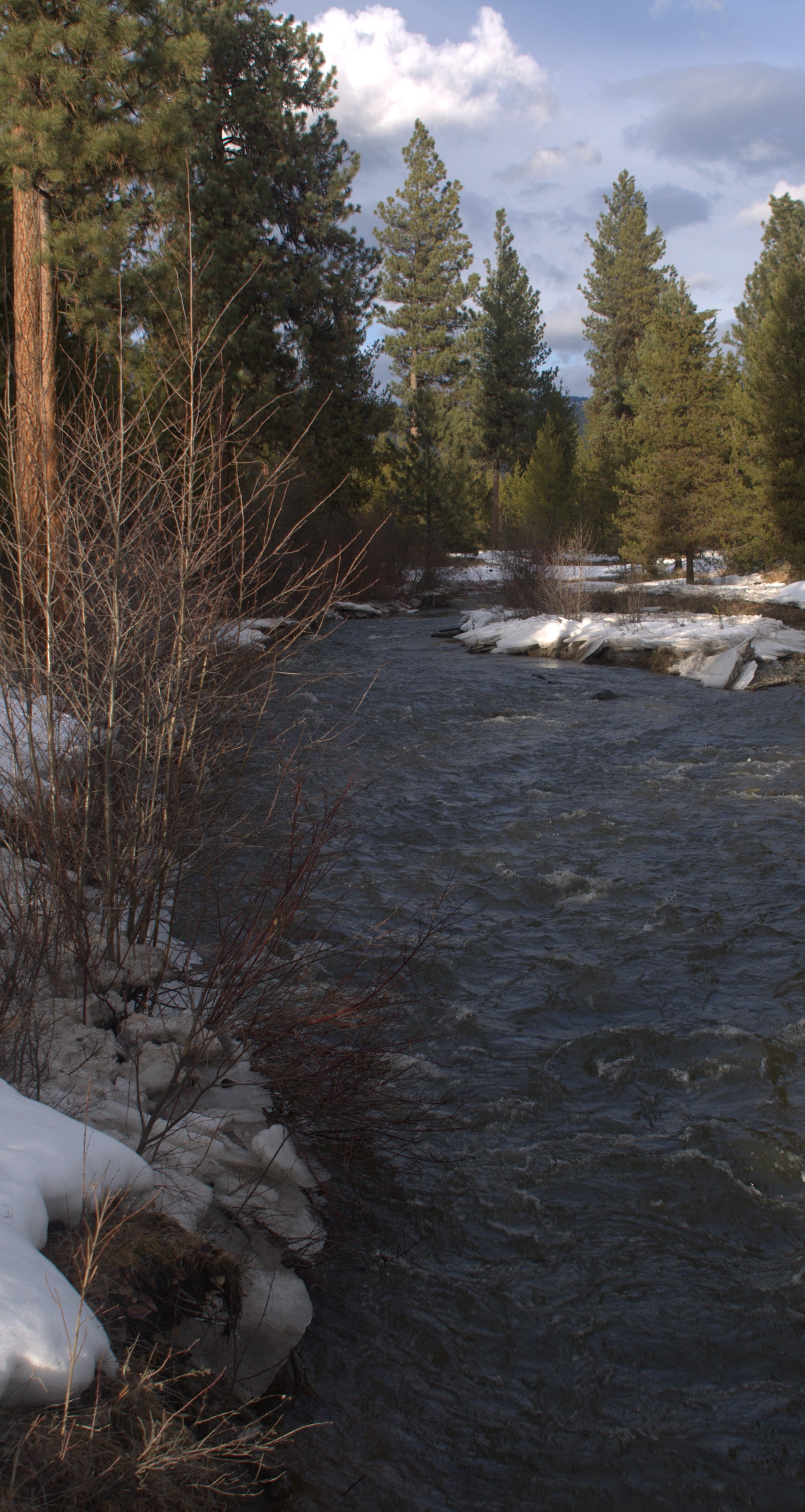 Wolf Creek Wolf Creek