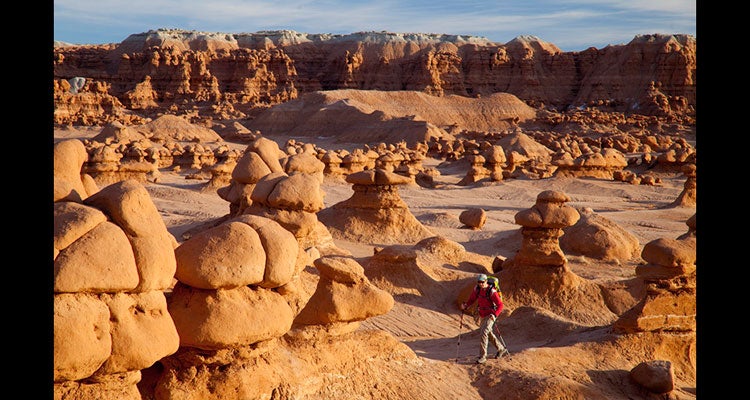 Photos by Stephen Matera inside a photographer's pack