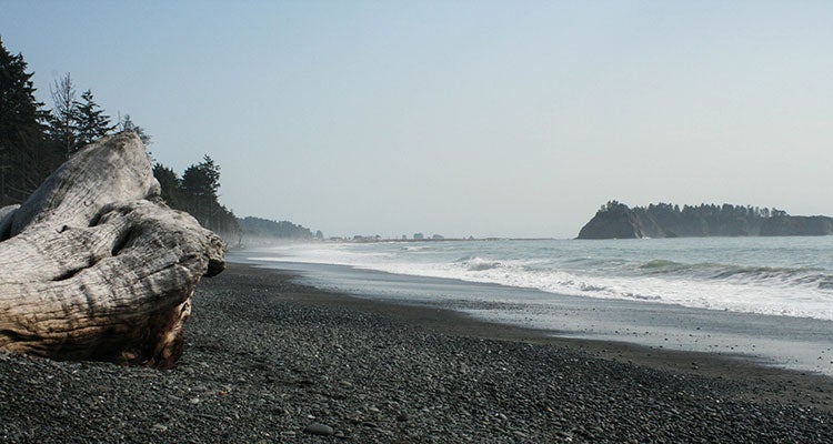 Beach Camp hike here, drink this