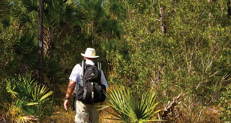 Tosohatchee Wildlife Area Orlando's Best Local Hikes