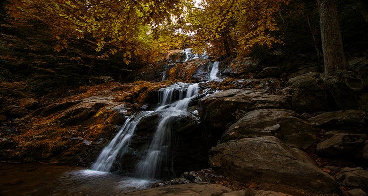 Shenandoah National Park, VA national parks your kids will love