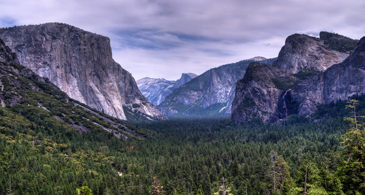 Yosemite National Park, CA national parks your kids will love