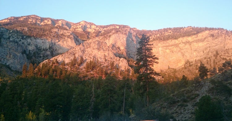 View From Mt Charleston Trailhead View From Trailhead