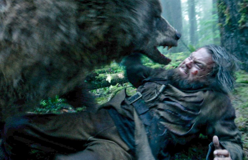 How The Revenant Got its Bear Attack Scene Right