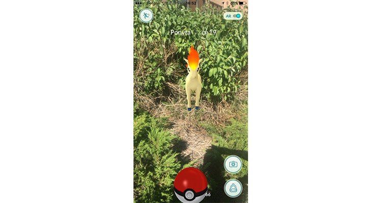 ponyta-pokemon-go None