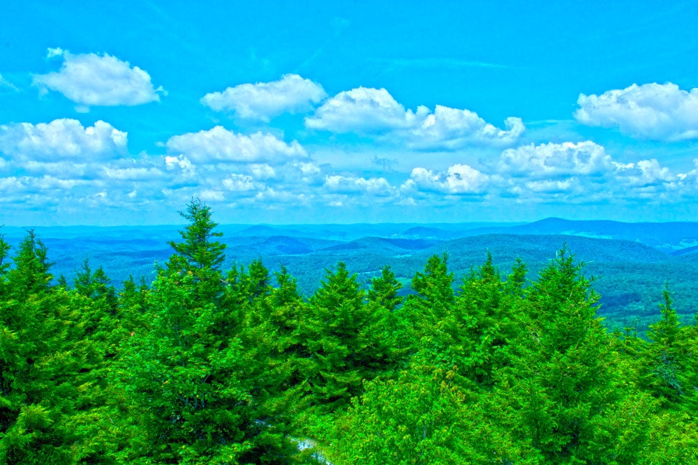 West-Virginia_Spruce-Knob_Morgan-Tilton_1 None