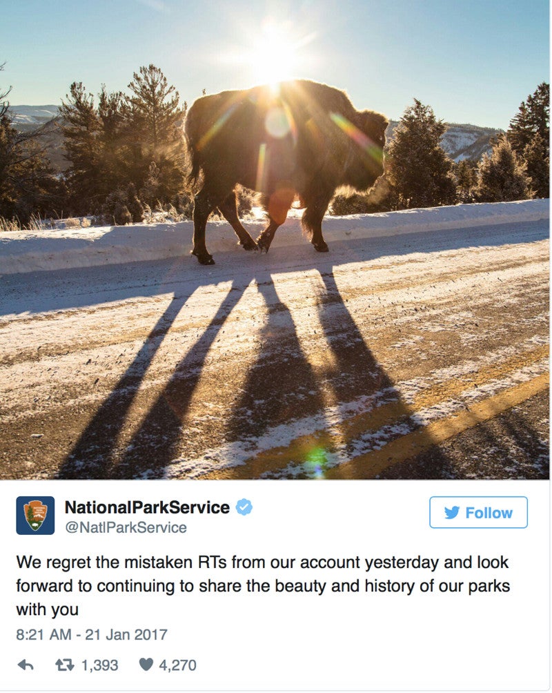 npsapology None