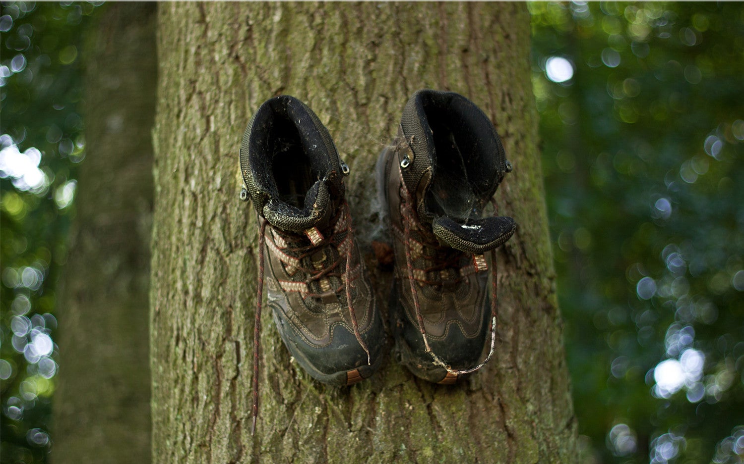 treeboots backpacking boot repair